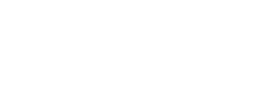 4mpp_srl_logo_vettorializzato-04.png