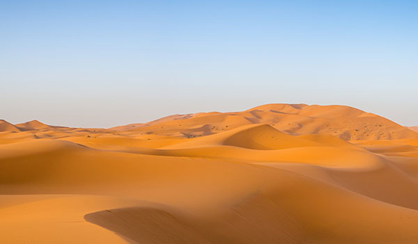 Deserti e praterie