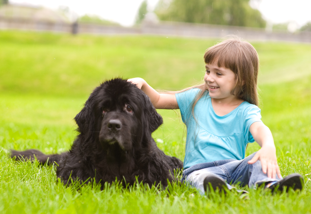vitamine per cani
