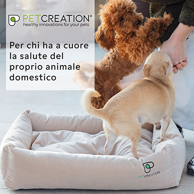 PET CREATION