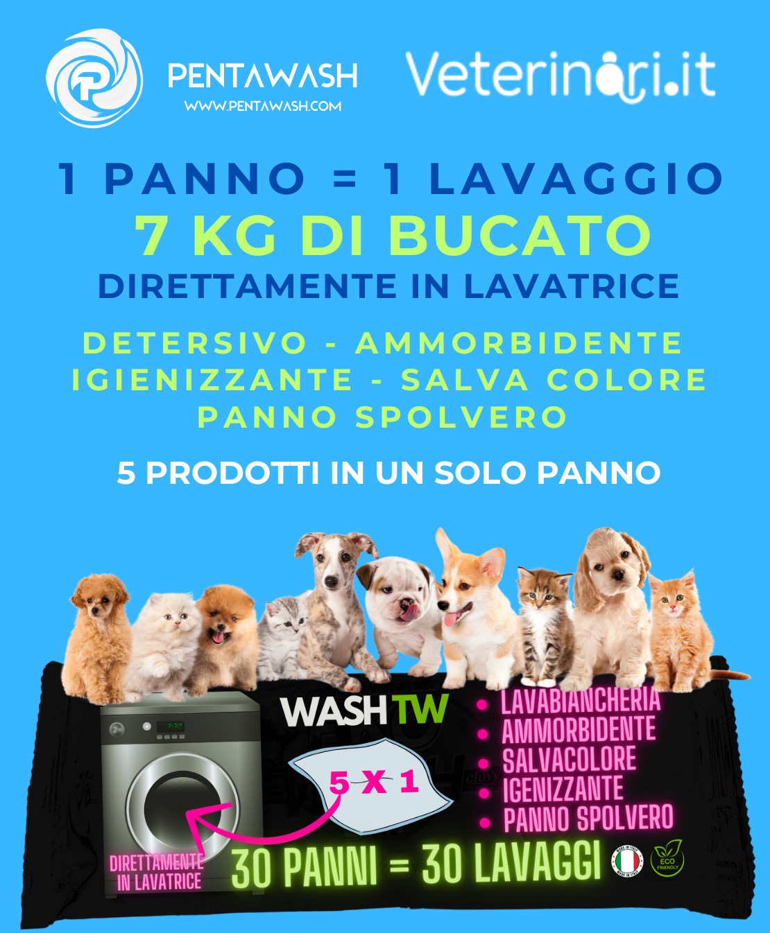 WTW wash the world