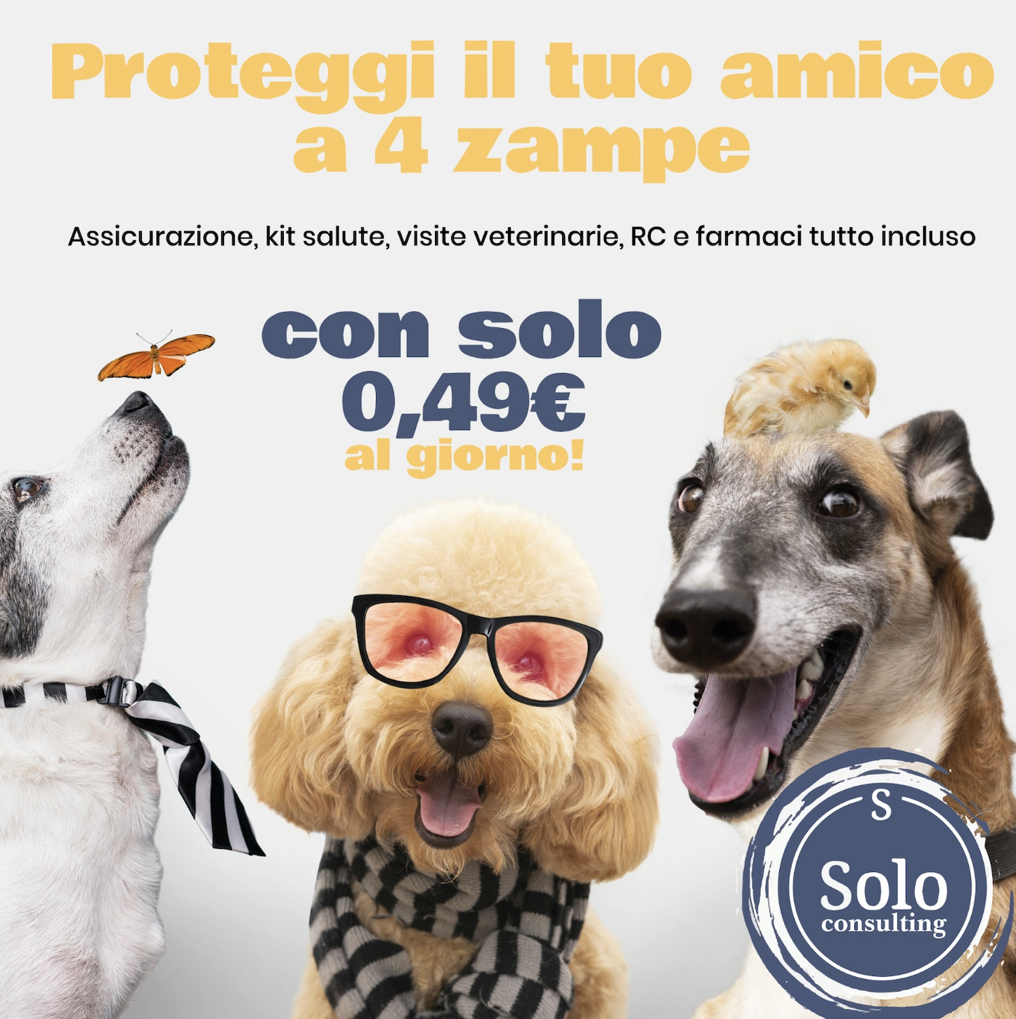 Solo Consulting