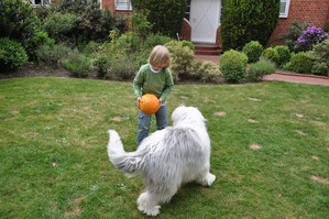 bobtail 2