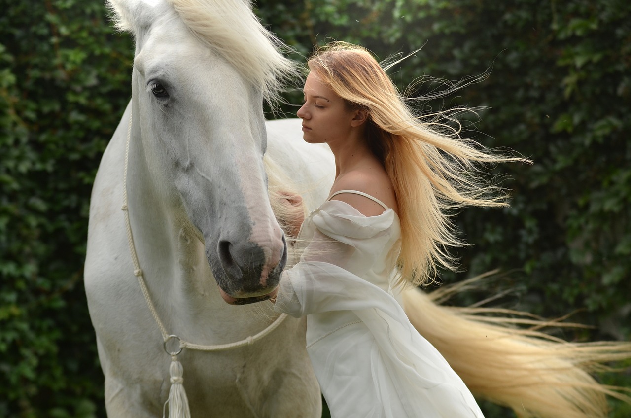 cavallo lipizzano 3