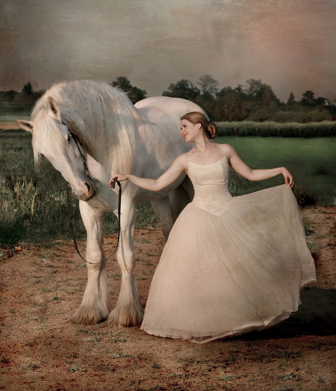 cavallo shire