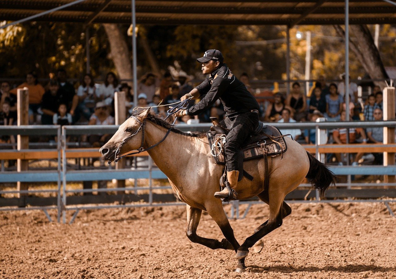 quarter horse