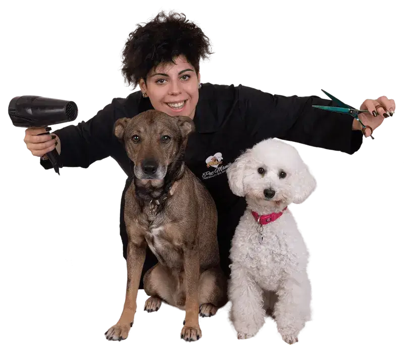 la toelettatrice