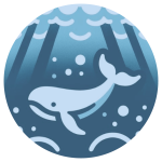 Oceano Aperto
