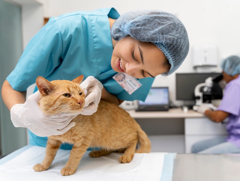 Cosa succede durante una visita veterinaria di emergenza