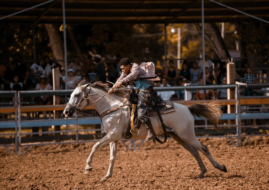 Cavallo Quarter Horse