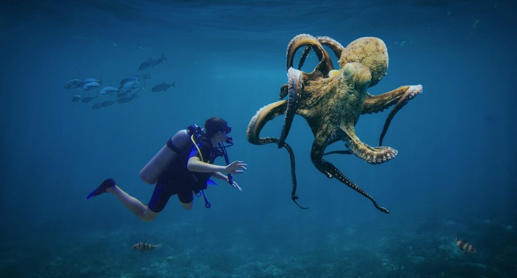 Polpo gigante