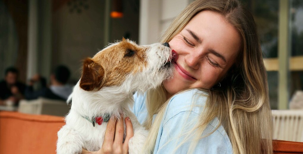 cane lecca padrone