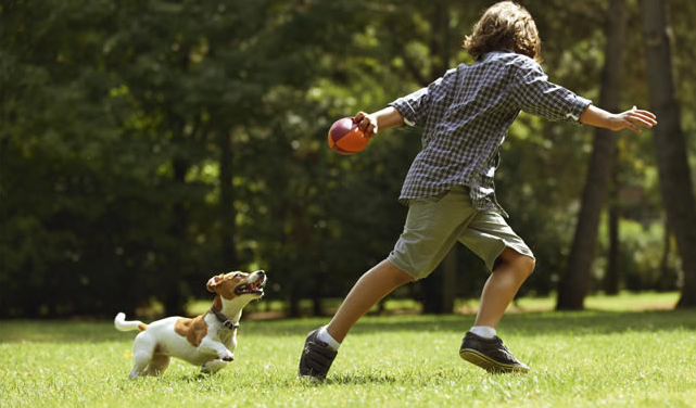 giocare con il cane