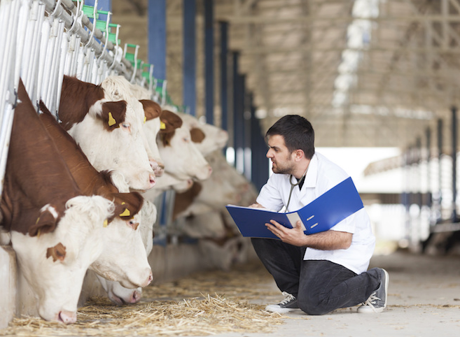 Sistema informativo veterinario