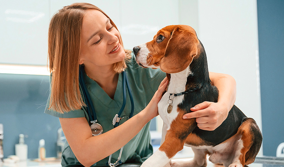 veterinario vicino a me