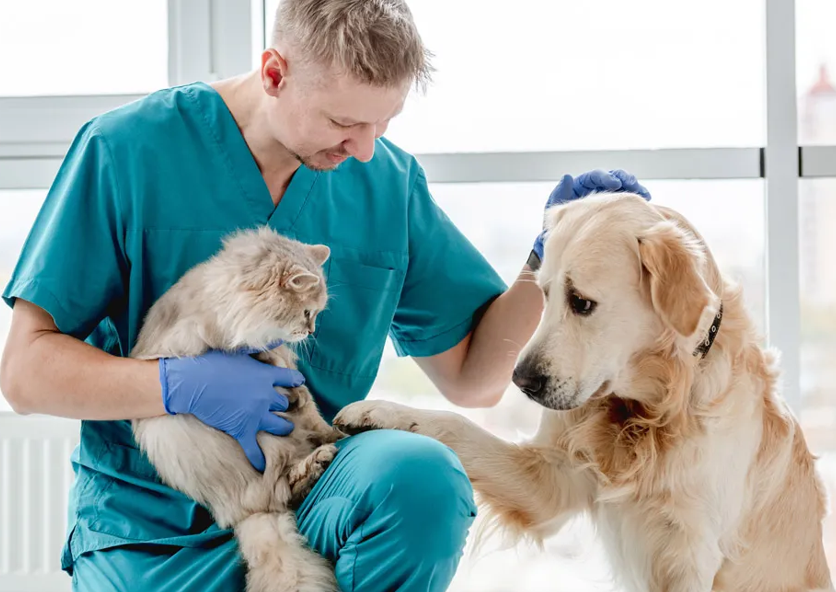 veterinario vicino a me