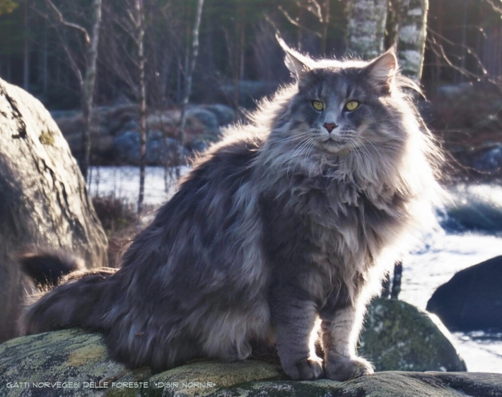 fru-pedresens-isak-sylvester