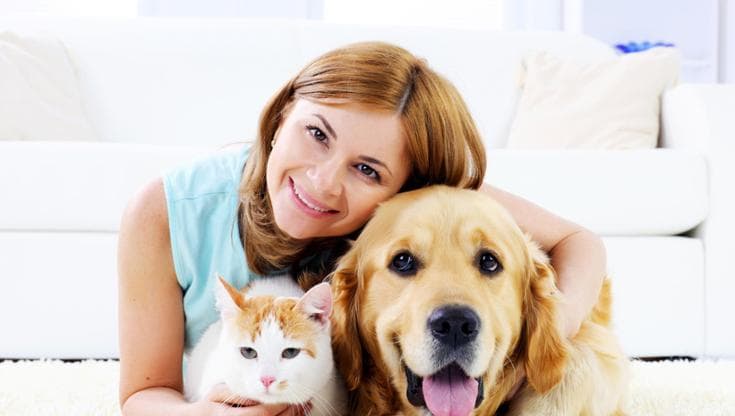 Bonus animali domestici 2025