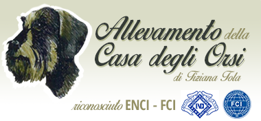 il-bassotto-tedesco-logo