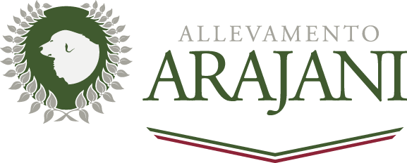 logo_arajani_o