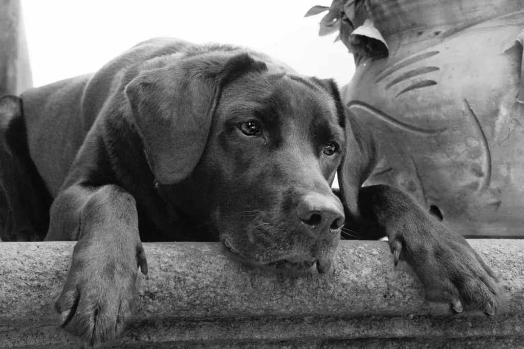 31188cd9-f0c1-4f0c-8eba-8bcd14c5a65f