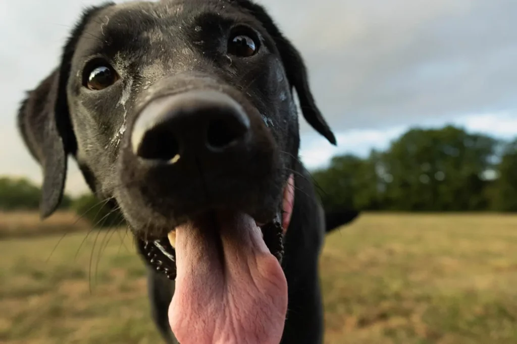 3be6239f-02ea-4071-93f7-22ebfbc4b543