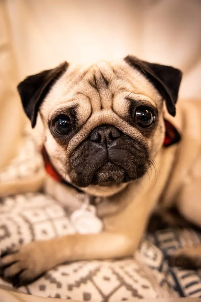 3d9e160f-2d0d-414b-9c29-d42fffdbaf8a