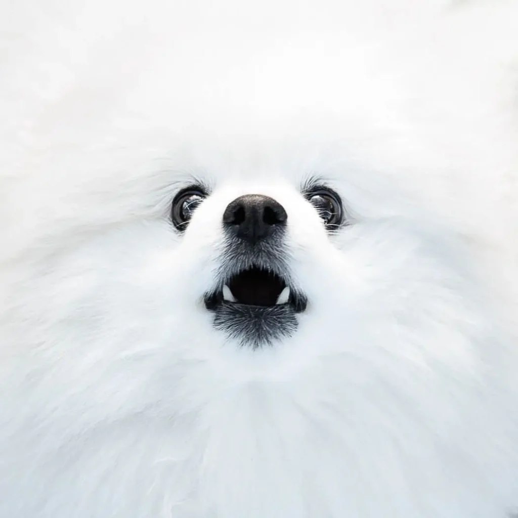 444e1105-5ef8-47a4-9524-2191a1fa52a0