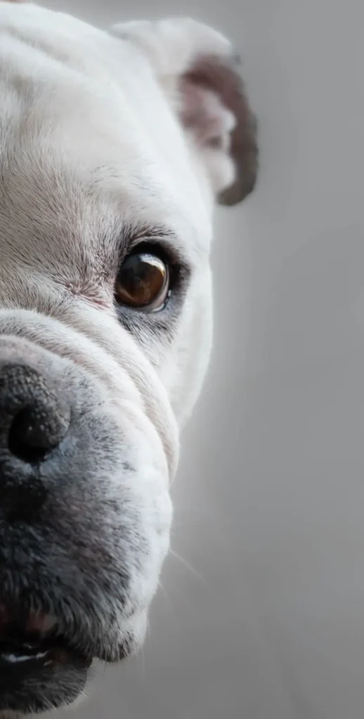 d9423397-e418-4024-b7cc-9aeca002a88b