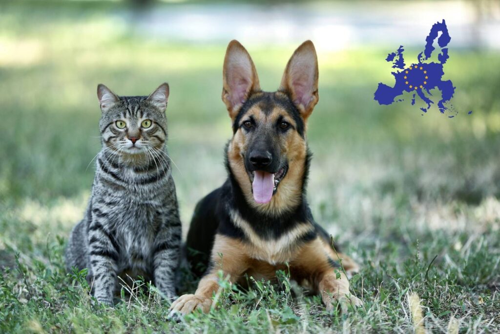 regolamento europeo per cani e gatti