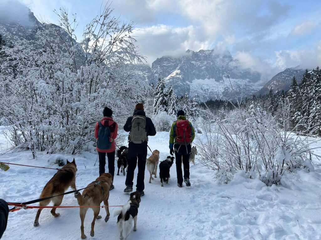 Immagine-WhatsApp-2025-12-05-ore-16.22.21_acdfa5a0