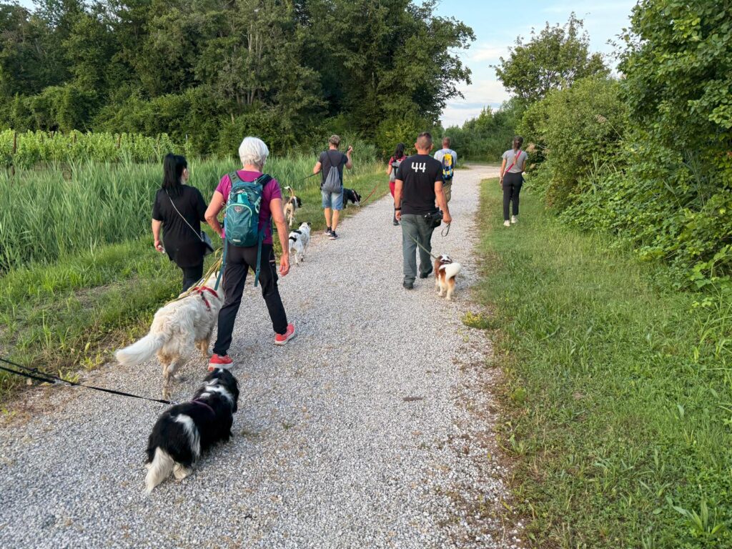 Immagine-WhatsApp-2025-12-05-ore-16.22.21_c63bfc8e