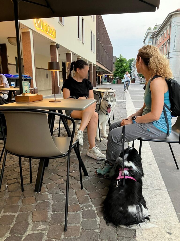 Immagine-WhatsApp-2025-12-05-ore-16.22.21_f2a279de