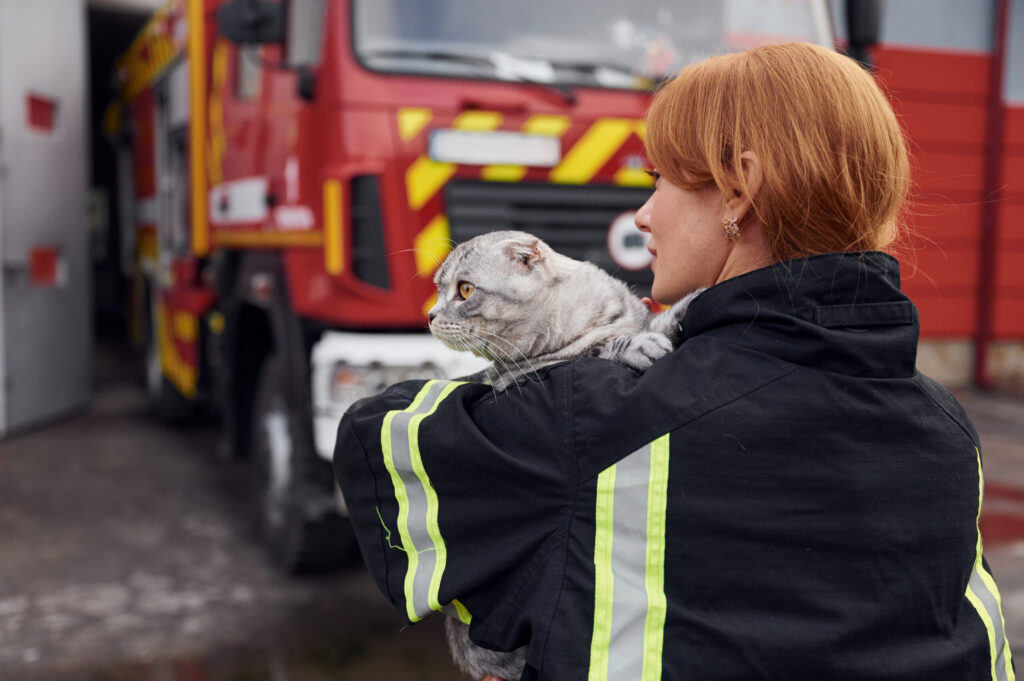 Animali e emergenze
